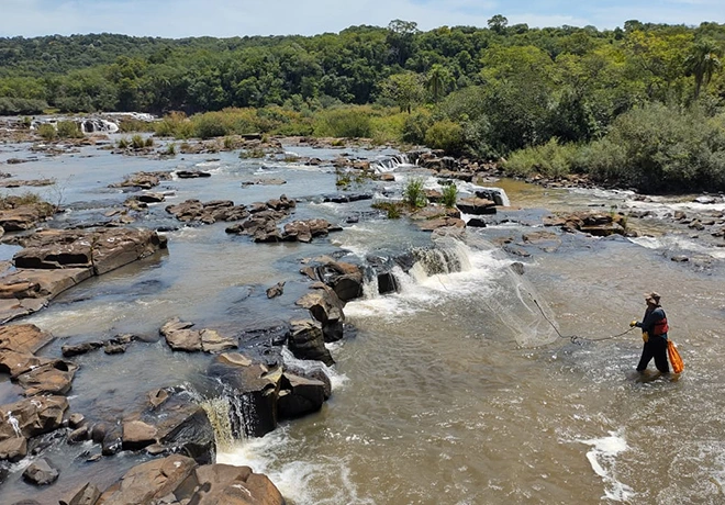 Pessoa em um rio raso recolhendo água com rede, entre pedras e pequenas quedas d’água, cercado por vegetação densa ao fundo.