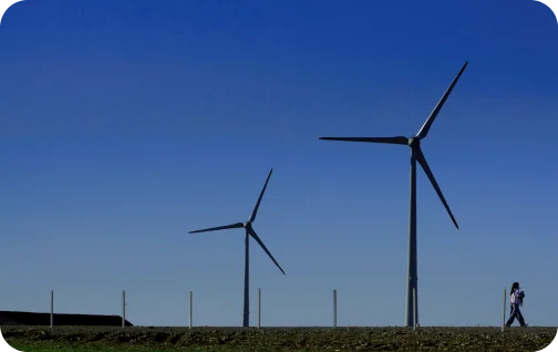 Cerro Chato Wind Complex Image