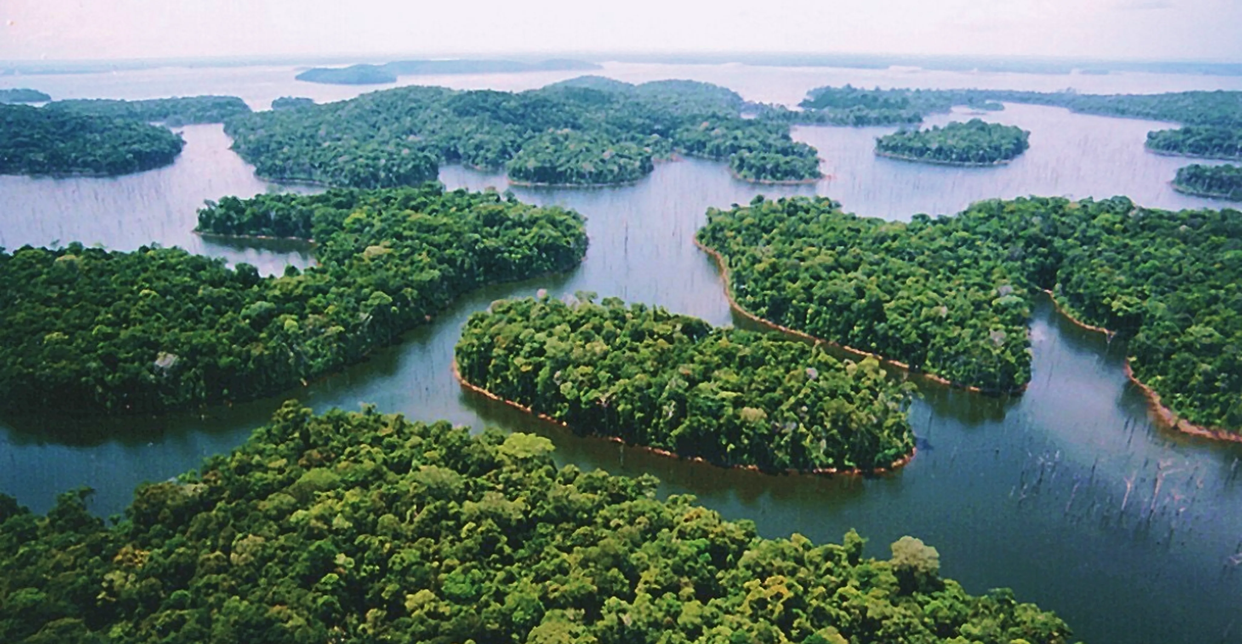 Descarbonizar suas atividades compensa mais com a AXIA Energia