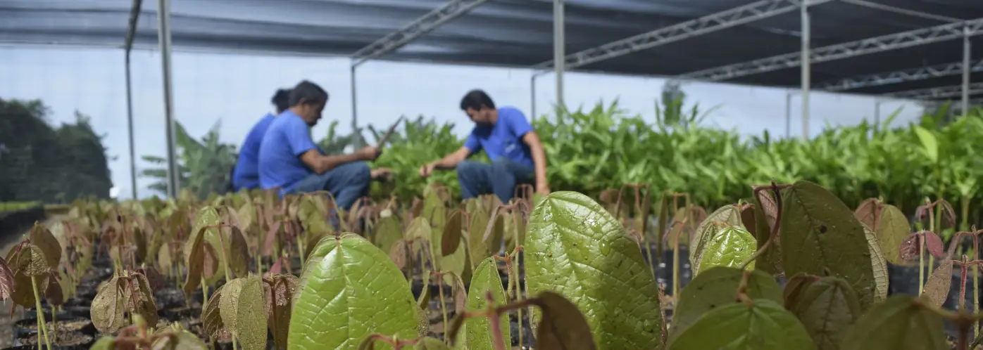 Banner sem Descrição