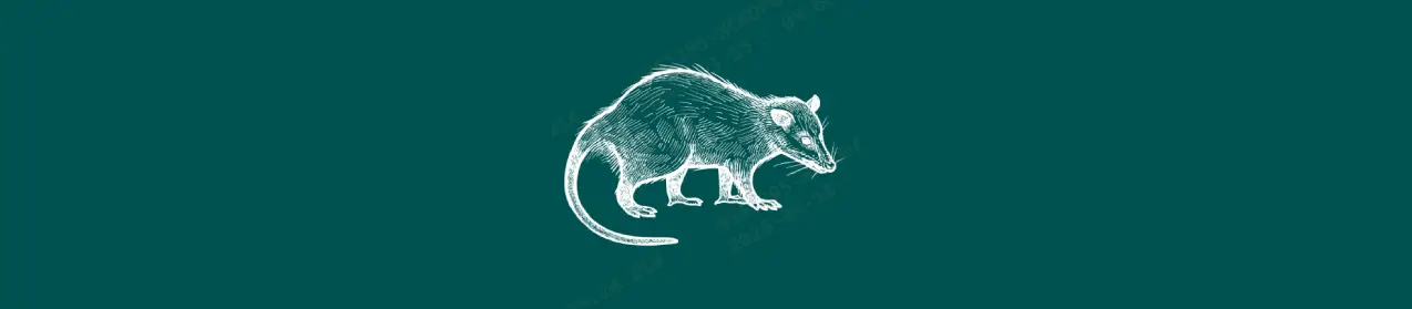 Imagem sem descrição