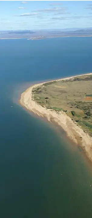 Imagem sem descrição