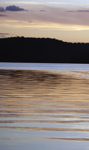 Natureza na região Amazônica