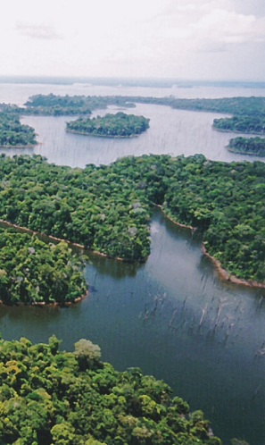 Vista área de ilhas em rio na região Amazônica