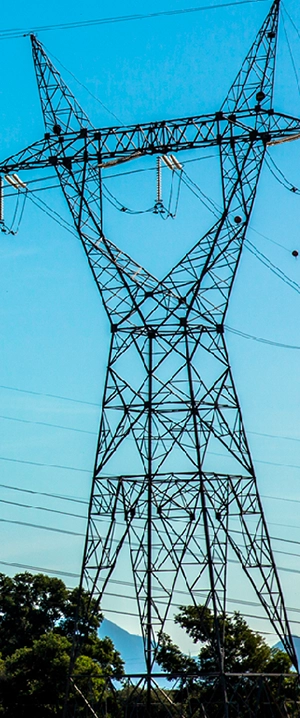 Imagem sem descrição