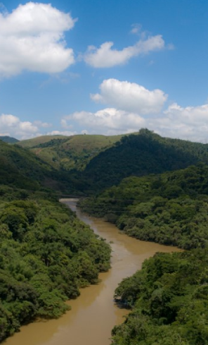 Rio na região Amazônica